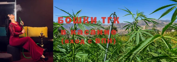 экстази Арсеньев