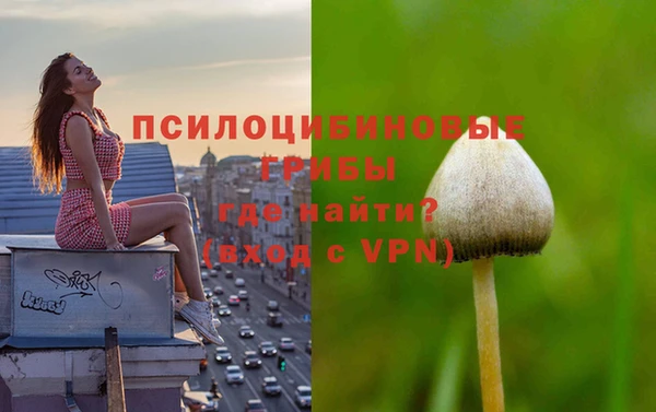 стафф Армянск