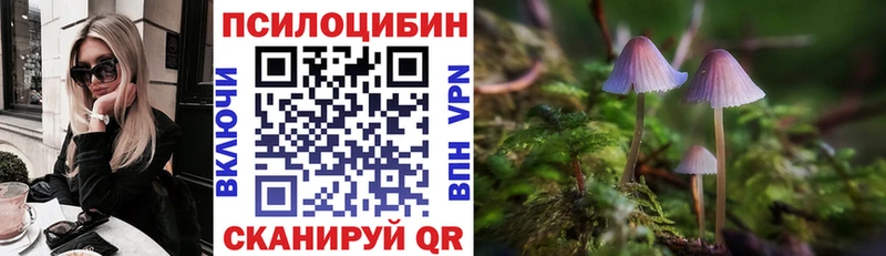 Псилоцибиновые грибы ЛСД  Олонец 